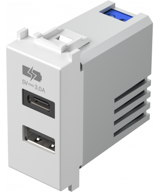 Зарядний пристрій Тип A&C USB 1 модуль 5В, 2,1А колір слонова кістка EM68PW